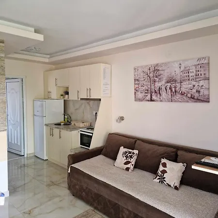 Apartmani Nataly M Veliko Gradiste Exterior photo