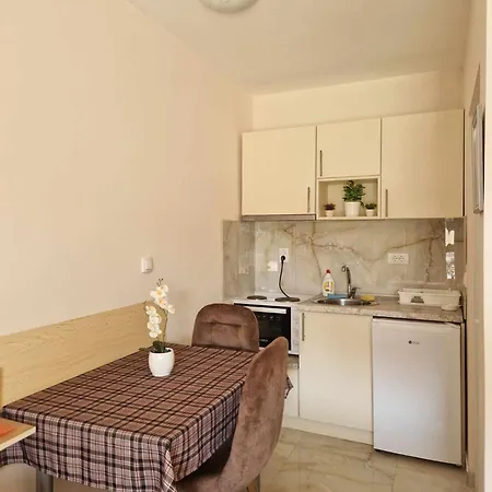 Apartmani Nataly M Veliko Gradiste Exterior photo