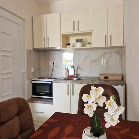 Apartmani Nataly M Veliko Gradiste Exterior photo
